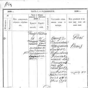 Appendix-17 Pesya Dumesh birth record 1898<br>