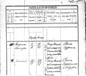 Appendix-5 Ephroim-Leiser Dumesh birth record 1891
 (1891)