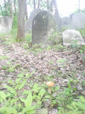 Springtime in the Jewish Cemetery in Vishki (2009)