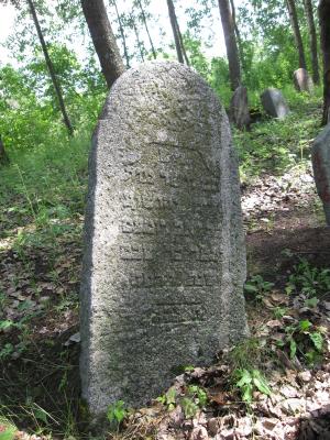 Grave of Chaim Dumesh (2009)