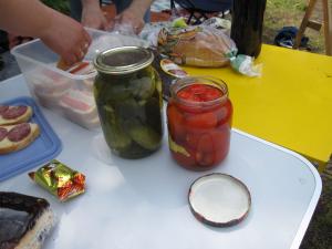 cucumbers and tomatoes made by Julia (2009)