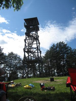 The tower by the picnic site (2009)