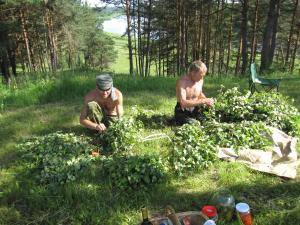 Sergey and Misha's dad making sticks for Banya (2009)