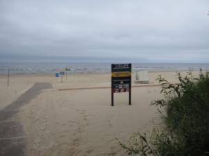 Jurmala shore (2009)