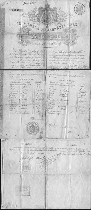 Ida Zucker Romanian Passport